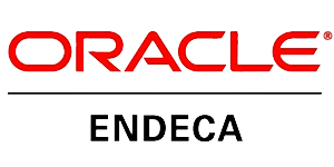 ORACLE ENDECA